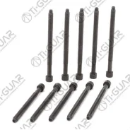 ����� � ����� /Tiguar ��� Volkswagen Transporter T5 Passat B5 Audi A4 (B7); ���. 10/ ������ M12/ ��� ������ 1.75/ ������ 166��. ; Tgchb141SET; 0381033...