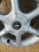 Liso. x15" ����