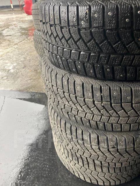 Viatti Brina Nordico. ������, ����������, 2024 ���, �/�, ����� 10 % ����