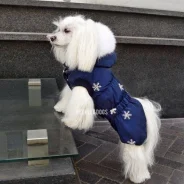 ���������� ��� ����� �������� S PEOPLE & DOGS ����