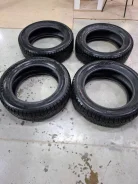 Nordman 7. ������, ��� �����, 2018 ���, �/�, ����� 30 % ����