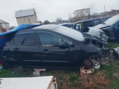 Peugeot 308 ����