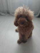 ������. ����