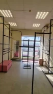 �������� ������������. ����