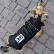 ������ ��� ����� �������� PEOPLE & DOGS ����