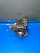 ������� Daihatsu Pyzar G301G, HDEP 28100-87106 ����