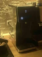 ���������. ����
