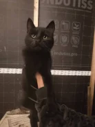 �����. ����