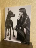 ������ ���������� �� ������ ����