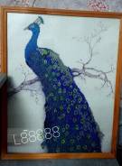 ������� �� ����� "������", ������ ������, ������� �� 8 ����� ����