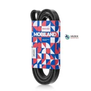������ 6PK2373 (EPDM) VW Passat B5.5 (3B3) Mobiland 501262373 501262373 ����