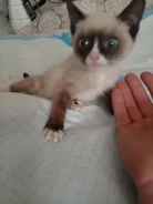 ����� � ��� ����� ��� ������� ����