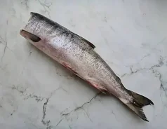 �����. ����