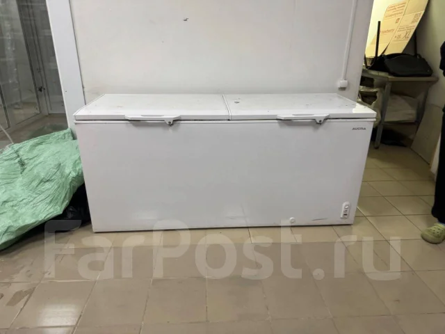 ���� �����������, �����������. ����