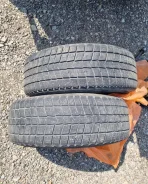 Nexen Winguard. ������, ��� �����, 2019 ���, �/�, ����� 15 % ����