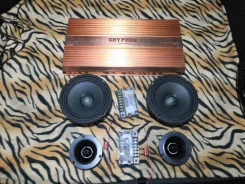 Dynaudio ����