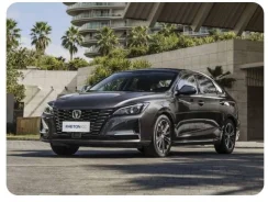 Changan raeton CC ������� ����