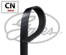������ ������������, ���������� 8PK1538 Gates 8PK1538HD 8PK1538HD ����