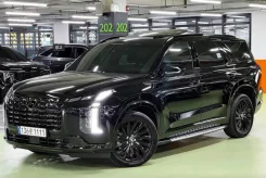 Hyundai Palisade ����