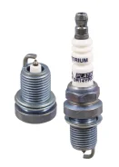 ����� ��������� DR14YPP-1 / 98079-5714H* Brisk Platin Brisk DR14YPP-1 DR14YPP1 ����