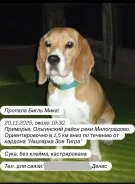 ������. ����