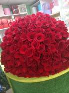 ����. ����