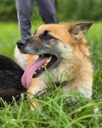 ������. ����