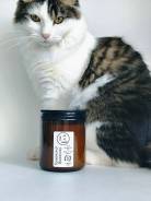 ����������, ������ ������ ����