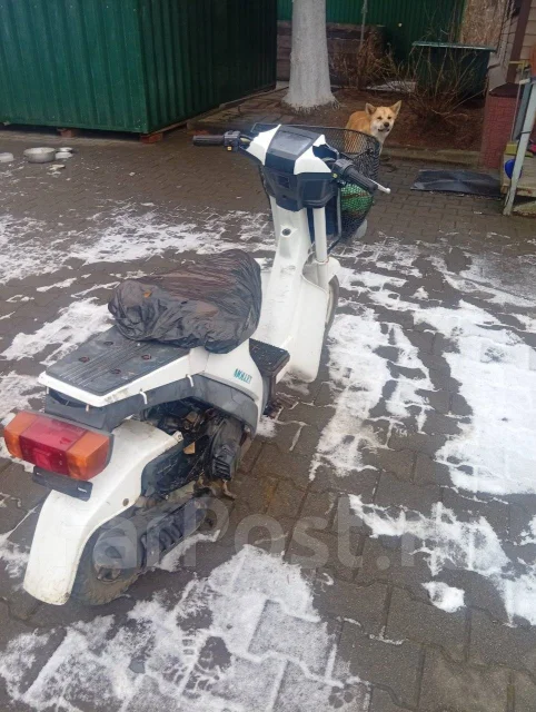 Suzuki Mollet. 49����. ��., ��������, ��� ���, ������ �� �� ����