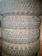 ���� �-502. �����������, 2025 ���, ����� ����