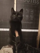 �����. ����