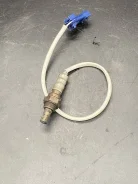 ����������� ������, ������ ���� 11787548961 11787548961 ����