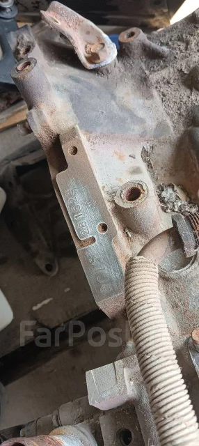 ��� ������ ����� ����