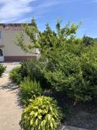 �������, ���������. �� ������� �.�. ����� �������� (�. ��������) 6 ����