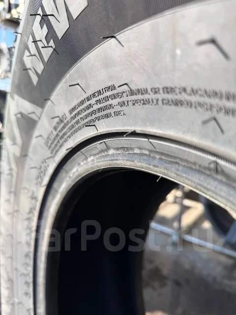 Predator New Mutant Arctic. ������, ����������, 2025 ���, ����� ����