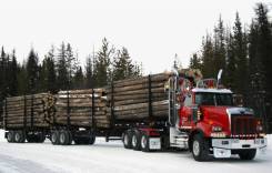  .    .   ,   , ,   3 