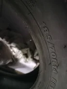 Streamstone. ������, ��� �����, 2020 ���, ����� ����