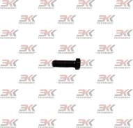���� M12*1,25*40, �� KTS TBR-12-40-1.25 TBR1240125 ����