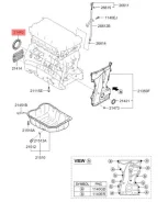 ������� ����������� ���� ������ Hyundai/Kia 214432G000 214432G000 ����