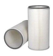 ������ ��������� DEES filters DSA9041 DSA9041 ����