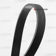 ������ ������������ Carberry 6PK1880 6PK1880 ����