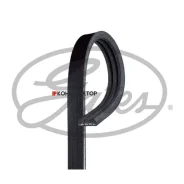 ������ ������������ XF Gates 3PK853 3PK853 ����