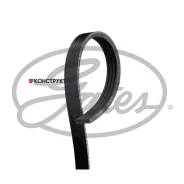 ������ ������������ XF 48351 Gates 4PK823 4PK823 ����