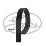 ������ ������������ XF Gates 5PK880 5PK880 ����