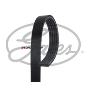 ������ ������������ XF Gates 5PK1090 5PK1090 ����