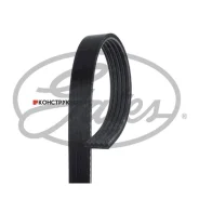 ������ ���������� Gates 5 PK 1140 Gates 5PK1140 5PK1140 ����