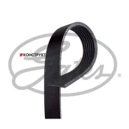 ������ ������������ XF Gates 7PK2285 7PK2285 ����