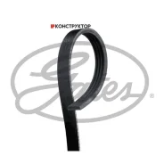 ������ ������������ XF Gates 4PK855 4PK855 ����