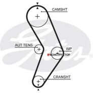 ������ ��� Gates 5662XS 5662XS ����