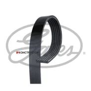 ������ ������������ XF 68374 Gates 6PK1113 6PK1113 ����